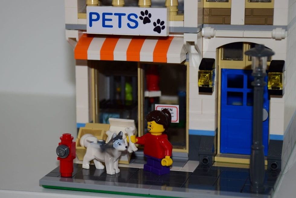 How to Buy a Pet Shop / Veterinary Sell Lease or Buy Pet Store or Vets
